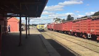 Derm arriving at Daylesford [upl. by Sprung]