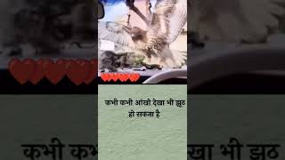 Jhutho ke Shahar mei maine apne jakhm khol baithi shayari [upl. by Merv]