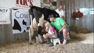 quotI Milked a Cowquot at the Isabella County Fair [upl. by Hester]