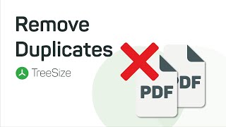 How To Remove Duplicates  TreeSize  JAM Software [upl. by Anaz877]