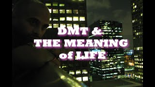 DMT amp The Meaning of Life [upl. by Nonnahs]