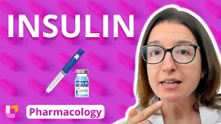 Insulin  Pharmacology  Endocrine System  LevelUpRN [upl. by Iago]