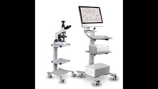 semen sperm software spermatozoa count semon analysis working process [upl. by Eloc379]