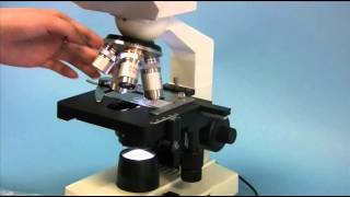 OMAX M82ES 40X2000X Compound Microscope  Installation amp Operation Instruction [upl. by Laemsi978]