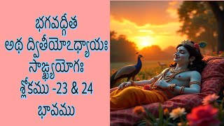 భగవద్గీత  అథ ద్వితీయోఽధ్యాయః సాఙ్ఖ్యయోగః శ్లోకము 23 amp 24 భావము Bhagavad GitaChapter 2Meaning [upl. by Eula]