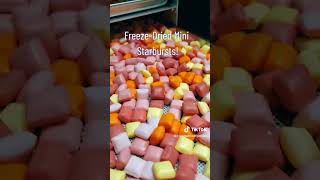 FreezeDried Candy Mini Starbursts [upl. by Ainocal]