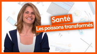 Santé  Les poissons transformés [upl. by Olette]