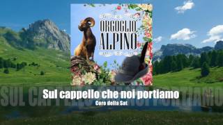 Coro della Sat  Sul cappello che noi portiamo ORGOGLIO ALPINO [upl. by Lamonica]