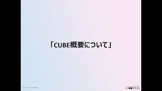 【14】HYPACKCARIS CUBEセミナー：Part1：「CUBE」概要について [upl. by Anertac]