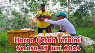 HARGA GETAH TERKINI  SELASA25 JUNI 2024  Mas Rukanz [upl. by Emilio293]