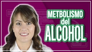 Metabolismo Del Alcohol  Nutrigami [upl. by Catherin]