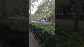 Mossos de escuadra acudiendo a un servicio urgente [upl. by Sivla]