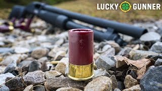 Are Mini Shotgun Shells Viable for SelfDefense [upl. by Adnirual]