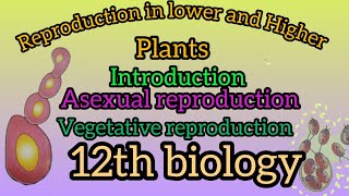 Part 1 Reproduction in lower and Higher plantsyoutubevideos [upl. by Bonnice]