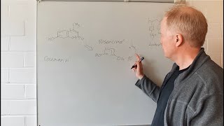 Ein Coumarin im Chitin von Skorpionen Synthese Einblicke in Fortgeschrittene Organische Chemie 17 [upl. by Tung]