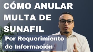 Cómo anular multa de SUNAFIL por requerimiento de información  Abogado Laboralista Brian Nuñez [upl. by Zeralda]