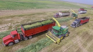 Friesen Harvesting  Spring 2017 [upl. by Nilyaj]