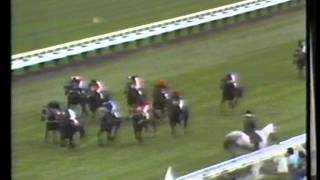 COOBERS QUEEN NZ  1979 Ladies Mile [upl. by Aneeuqahs52]