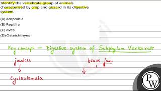 Identify the vertebrate group of animals characterised by crop and gizzard in its digestive syst [upl. by Hike]