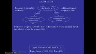 What are equity shares and shareholders [upl. by Samuela301]