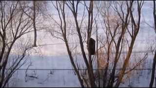 The Ghost Footage 2  Full Movie 2013 [upl. by Hortensia]