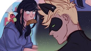 The Ladynoir Texts p1  Miraculous Ladybug Comic Dub [upl. by Im762]