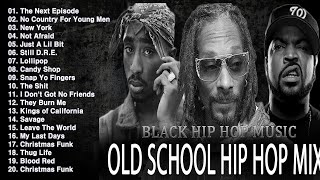 OLD SCHOOL HIP HOP MIX 🔥🔥🔥 Snoop Dogg Dr Dre Eminem The Game 50 Cent 2PAC DMX Lil Jon [upl. by Dira]