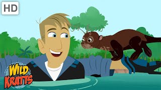 Swimming with Giant River Otters  One Big Happy Family  Wild Kratts [upl. by Ahsatam]