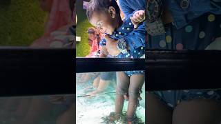 NR Fish Spa Besant Nagar beach and Kovilambakkam 9952085544 youtubeshorts baby cute fish fun [upl. by Grishilda609]