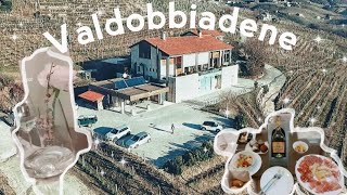 Valdobbiadene Agriturismo Vedova Hotel  Jan 2022 4K Drone [upl. by Behnken]