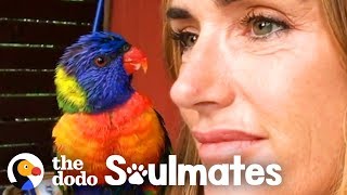 Wild Lorikeet Brings Girlfriend to Meet Human Mom  The Dodo Soulmates [upl. by Robena]