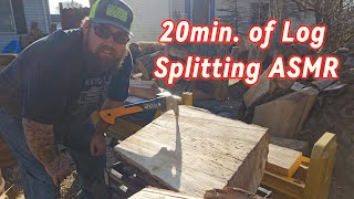 20min of Log splitting ASMR Quick into then all splitting [upl. by Dlaniger]