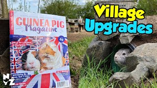 Hog Springs Guinea Pig Village Upgrades amp Magazine Feature [upl. by Adnama]