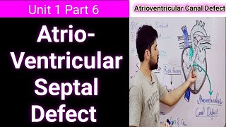 Pressure in the left heart  part 1  Circulatory system physiology  NCLEXRN  Khan Academy [upl. by Philina]