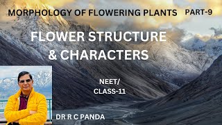 FLOWER1  PARTS amp CHARACTERS  MORPHOLOGY OF FLOWERING PLANTS  NEET  CLASS11  DR R C PANDA [upl. by Esiuqcaj690]