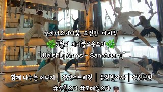 주아나요가다움 오전반 마지막 🌿5월의 이지플로우요가🌿 quotWelshly Arms  Sanctuaryquot함께 나누는 에너지│전신스트레칭│뮤직빈야사│전신근력수원요가 호매실요가 [upl. by Ullund82]