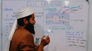 Cell Membranestructure function of plasma membrane biology 9th Chap4 Lec6  fluid mosaic model [upl. by Chloris]