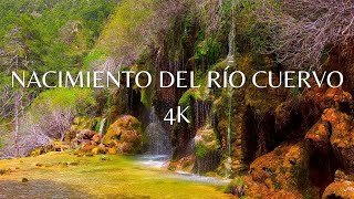 NACIMIENTO DEL RIO CUERVO 4K  MONUMENTO NATURAL EN CUENCA [upl. by Rasec]