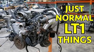 Bad Corvette Camaro Trans Am Gen2 LT1 350 Teardown Not The Problem I Was Told [upl. by Prosperus254]