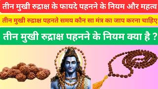 Benefits of Three Faced Rudraksha  Rules of Wearing Three Faced Rudraksha [upl. by Lahtnero364]