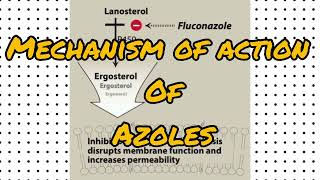 Azoles  Mechanism of Action  Antifungal Agents  Pharmacology [upl. by Yasmin]