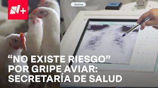 ¿Qué síntomas presentó el hombre que murió por gripe aviar H5N2  En Punto [upl. by Jenine]