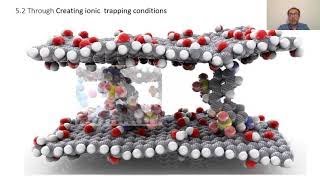 Li selective membrane for Direct Lithium Extraction Dr Amir Razmjou [upl. by Huskey23]