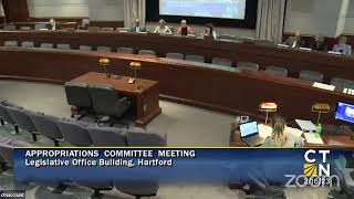 Appropriations General Government A State Agency Budget Presentation [upl. by Spielman]