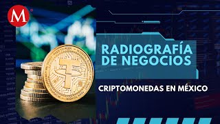 ¿Qué tanto ha crecido el uso de la cripto en México  Radiografía de Negocios [upl. by Dimmick]