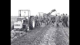 Standen 1974  Green For Go  Sugar Beet Harvesters  Marketing Video  Ely Riverside  Ely Market [upl. by Swane]