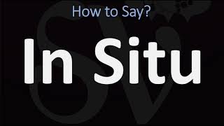 How to Pronounce In Situ CORRECTLY [upl. by Layod901]