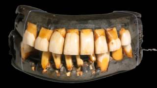 Mike Galye Introduces the Story of George Washingtons Dentures [upl. by Chaim]