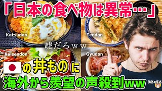 【海外の反応】「日本食の多様性はおかしい・・・」来日オランダ人が衝撃を受けた日本の丼ものに海外から羨望の嵐！【日本人も知らない真のニッポン】 [upl. by Ettesyl]