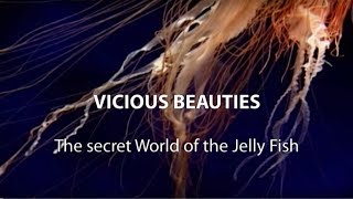 ► Vicious Beauties  The Secret World Of The Jellyfish Full Documentary HD [upl. by Adnol824]